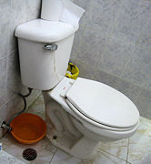 a leaking toilet should not be ignored